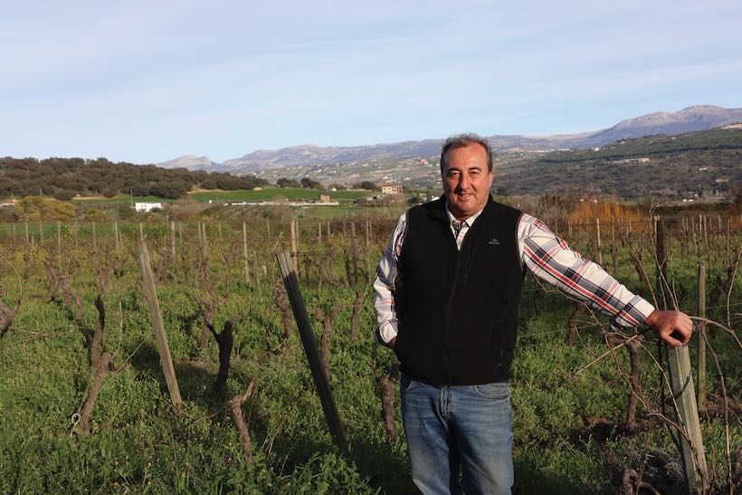 Friedrich Schatz among his vines (2)