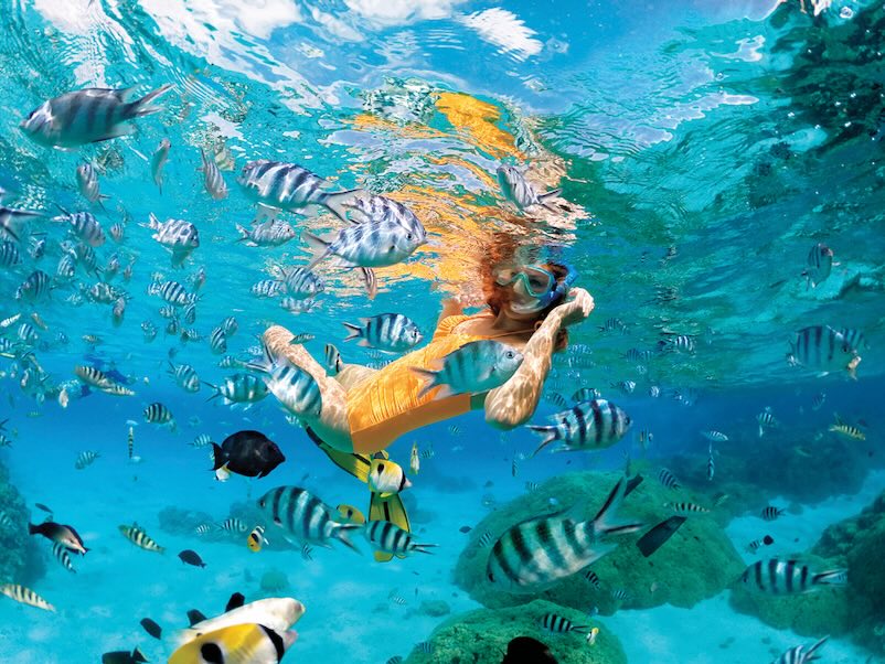 Snorkel the translucent, turquoise lagoons of French Polynesia on one of our many optional excursions.