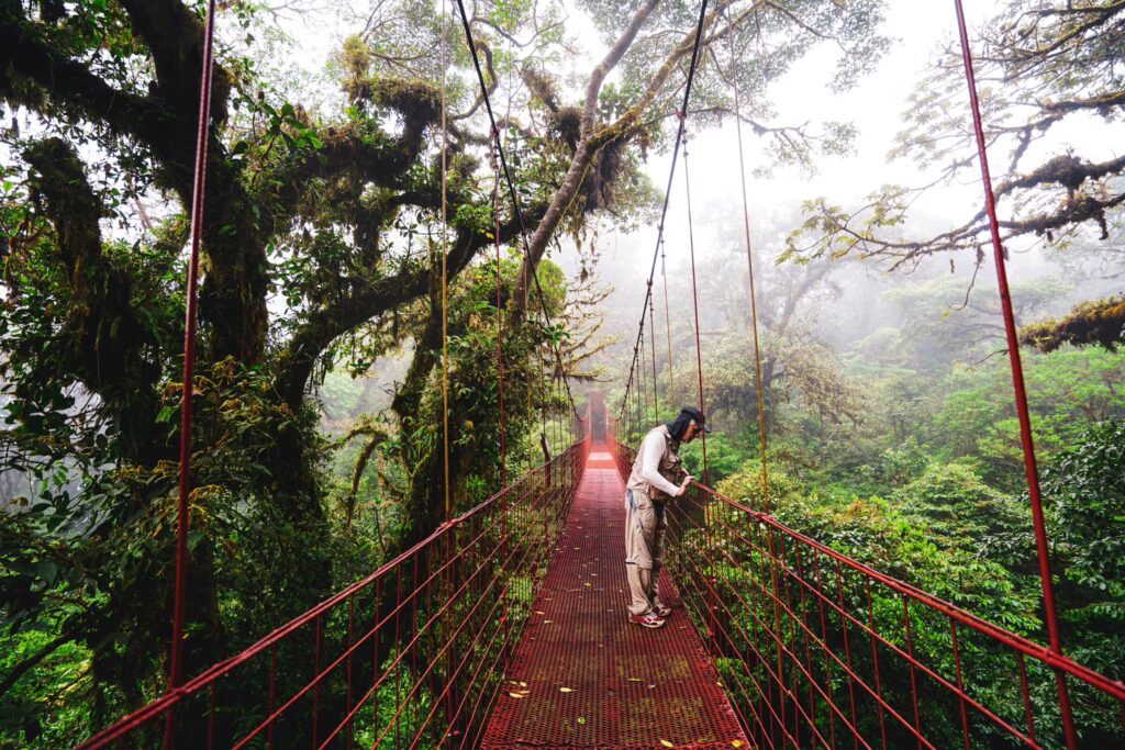 GalleryHero Monteverde CostaRica GettyImages DavorLovincic