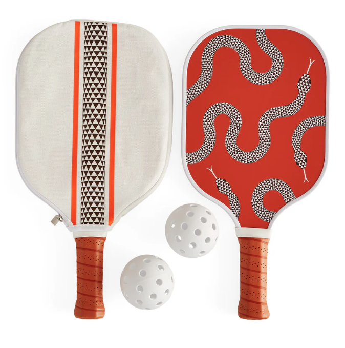 Pickleball Set