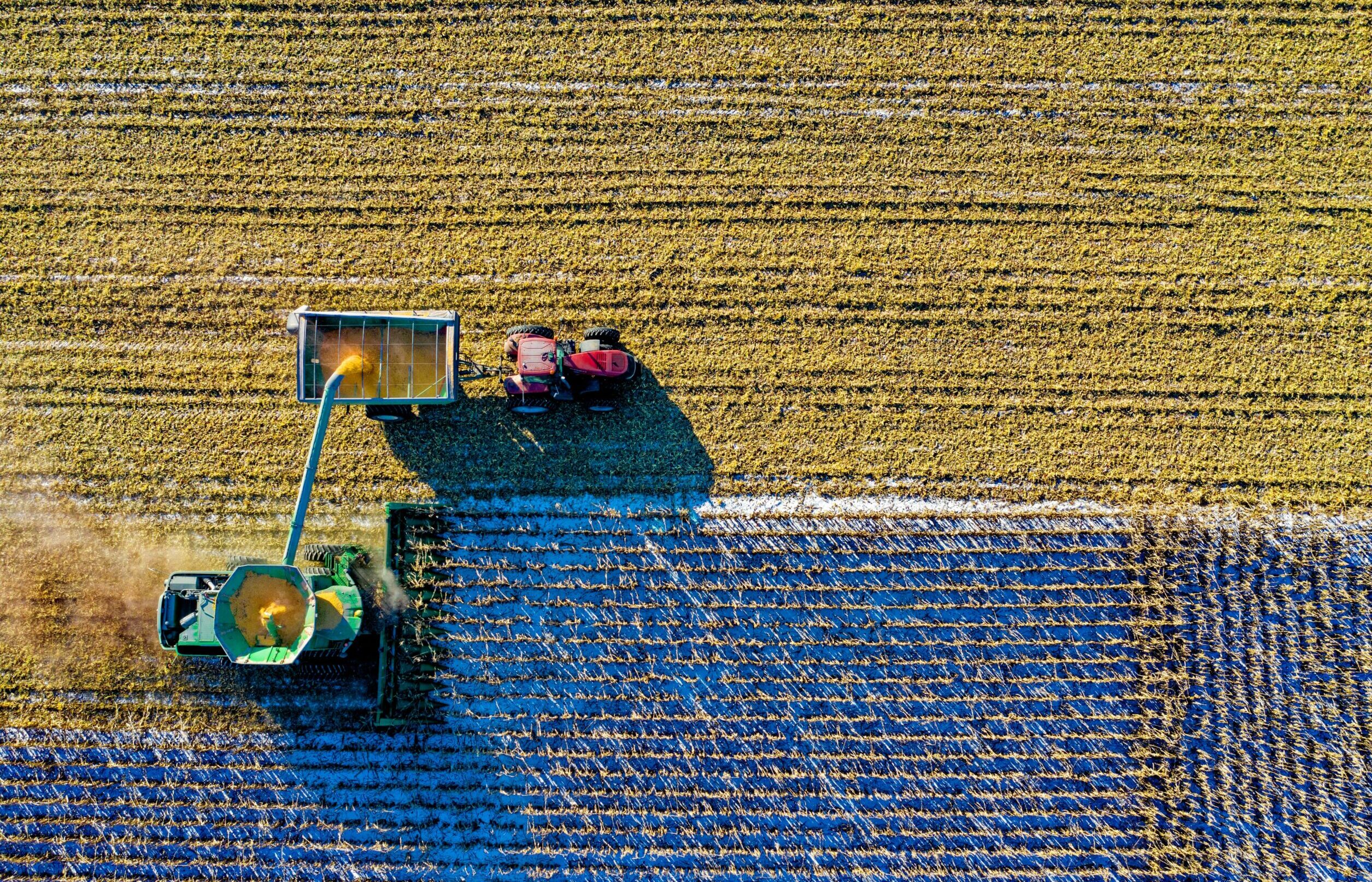 Why “Good” Farming Might Be Bad for the Planet