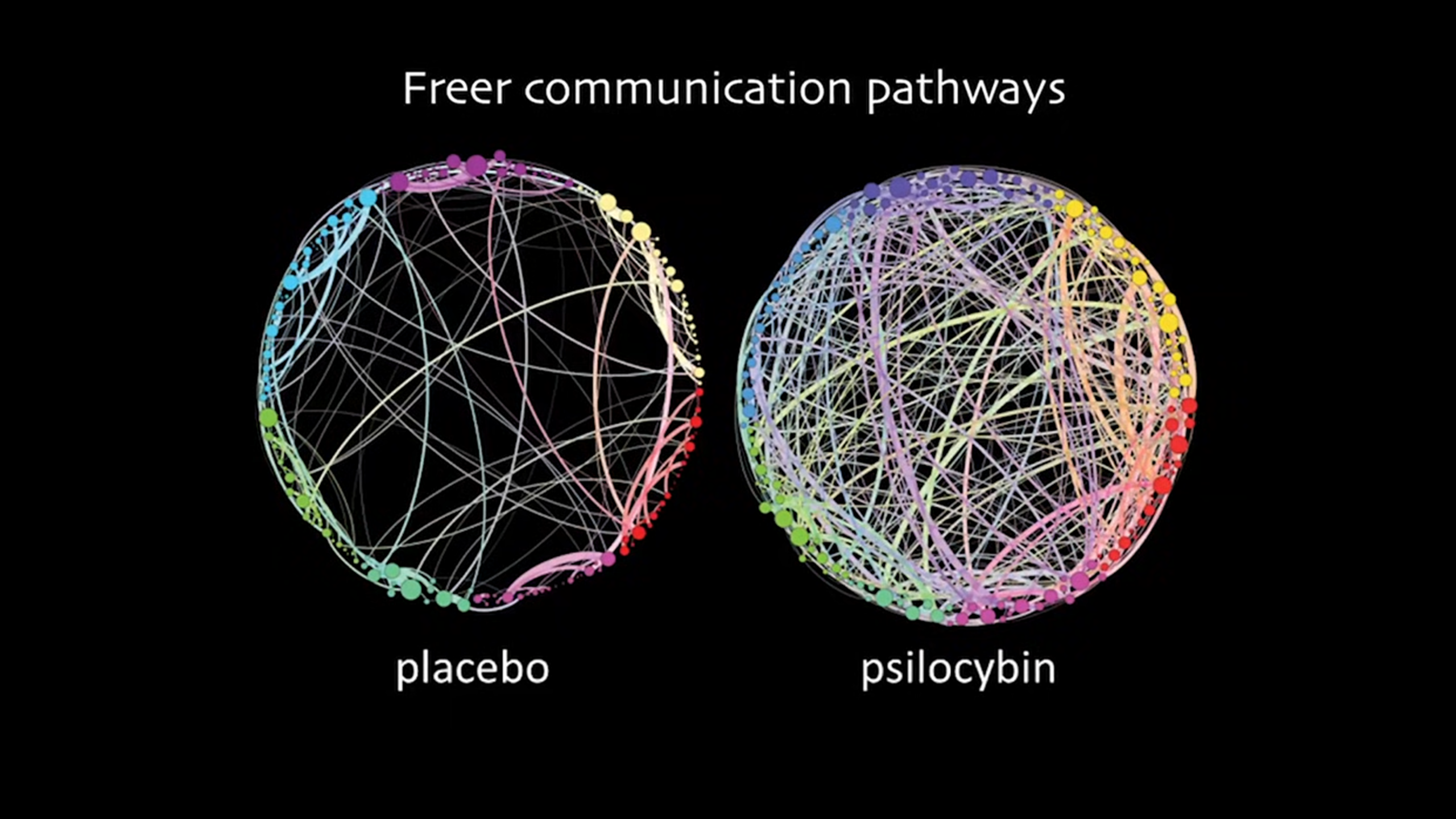 Brain on Magic Mushrooms vs Placebo