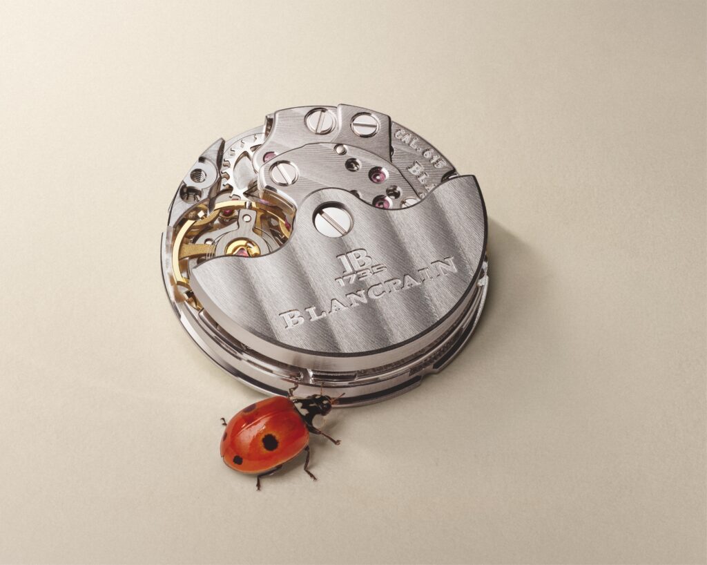 XXL Ladybird Lady B Mouvement PR CMYK